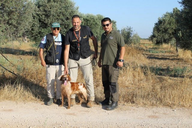 Αγωνες Α.Κ.Ι 11/6/2017